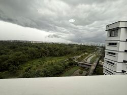 Blk 496D Tampines Avenue 9 (Tampines), HDB 5 Rooms #576090051